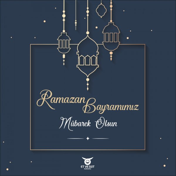 WhatsApp Image 2026 03 17 at 15.42.33