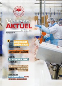 WhatsApp Image 2025 07 29 at 16.36.10